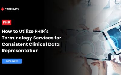 How to Utilize FHIR's Terminology Services for Consistent Clinical Data Representation